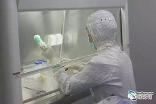 深圳人體細(xì)胞科技展覽館 細(xì)胞技術(shù)研發(fā)與應(yīng)用的前沿探索