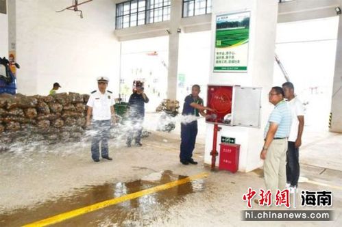 海口秀英區 確保菜籃子江楠農產品批發市場消防安全