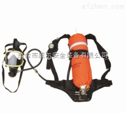 威爾品牌自給式空氣呼吸器-東臺(tái)市威爾安全裝備